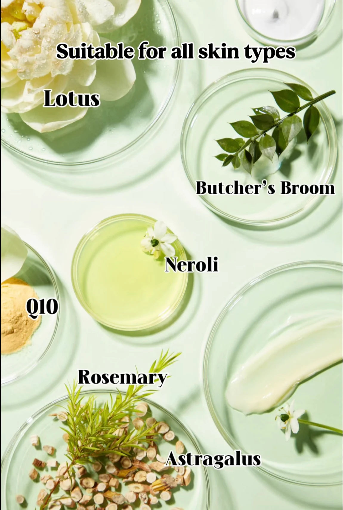 SkinLabs Co™ Daily Skin Reset Capsules (AM + PM)